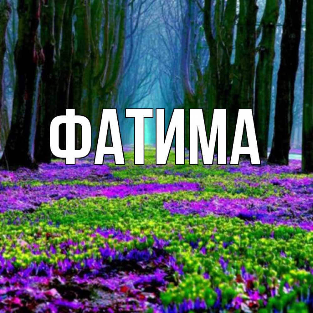 Открытка на каждый день с именем, Фатима Главная фиолетовые цветы в лесу 1 Прикольная открытка с пожеланием онлайн скачать бесплатно 