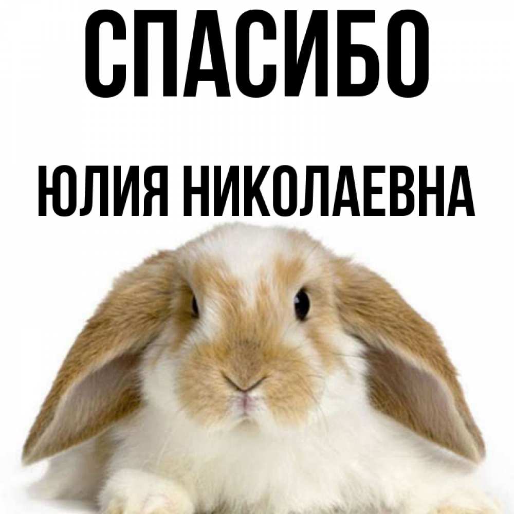 Спасибо юля картинки красивые