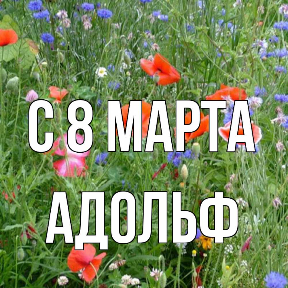 Открытка на каждый день с именем, Адольф С 8 МАРТА международный женский день 4 Прикольная открытка с пожеланием онлайн скачать бесплатно 