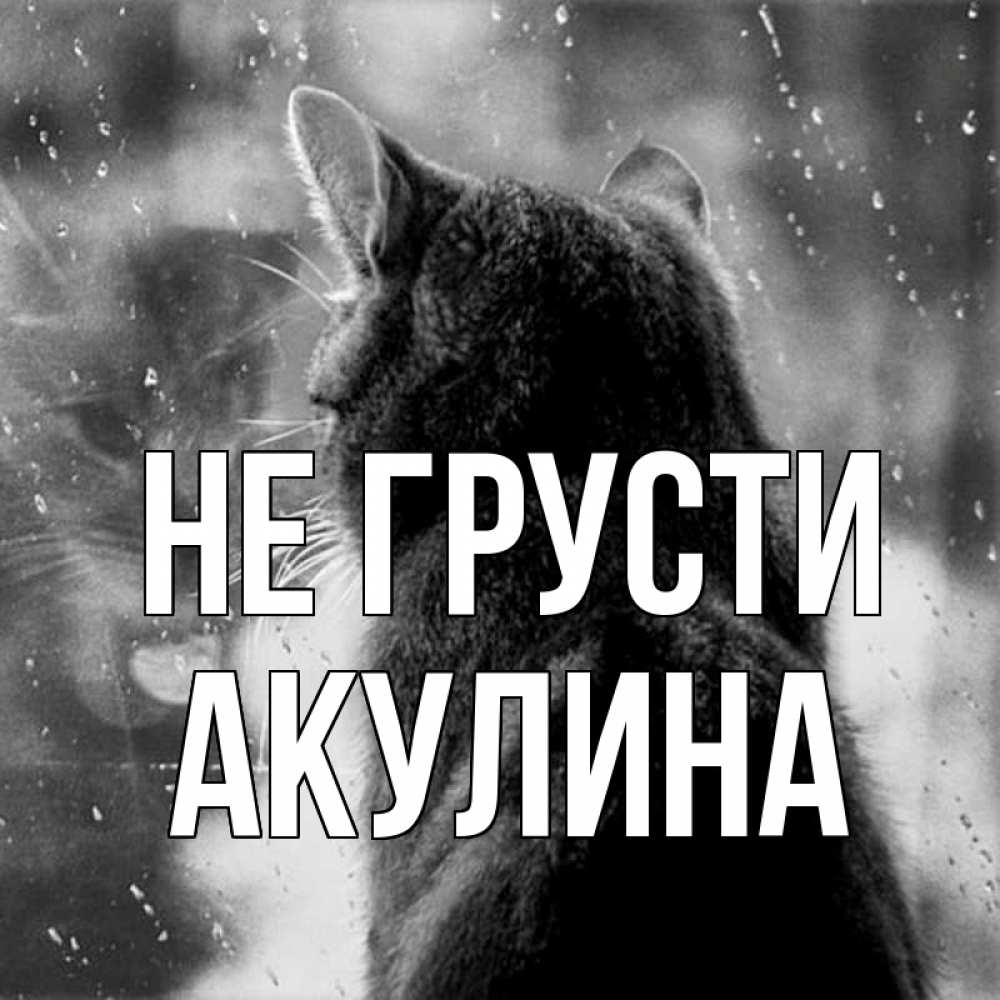 Открытка на каждый день с именем, Акулина Не грусти отражение кота 1 Прикольная открытка с пожеланием онлайн скачать бесплатно 