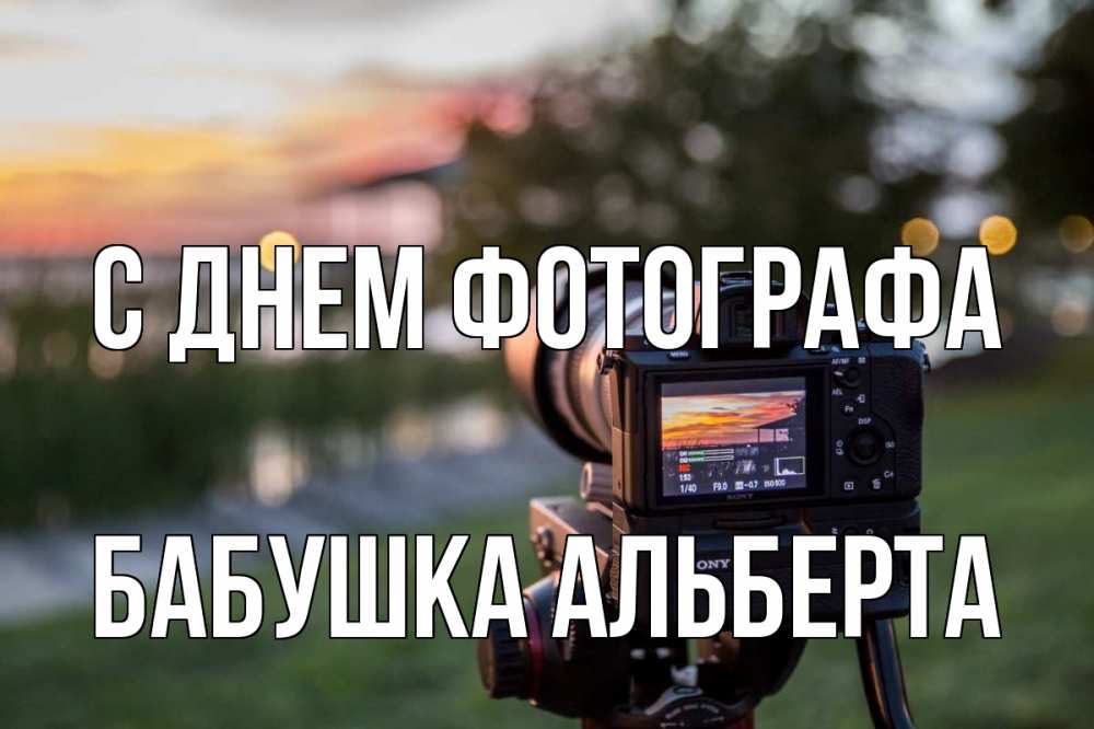 Открытка на каждый день с именем, Бабушка-Альберта С днем фотографа с днем фотографа Прикольная открытка с пожеланием онлайн скачать бесплатно 