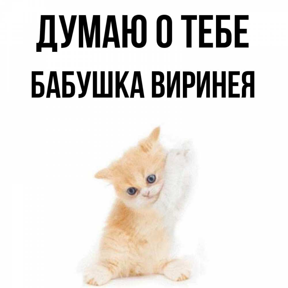 Открытка на каждый день с именем, Бабушка-Виринея Думаю о тебе зверушки и милота Прикольная открытка с пожеланием онлайн скачать бесплатно 