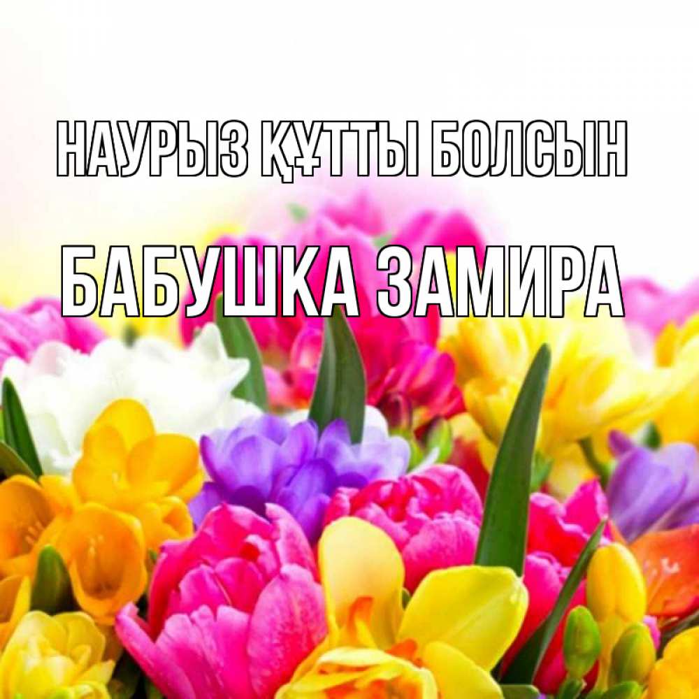 Открытка на каждый день с именем, Бабушка-Замира Наурыз құтты болсын тюльпаны Прикольная открытка с пожеланием онлайн скачать бесплатно 
