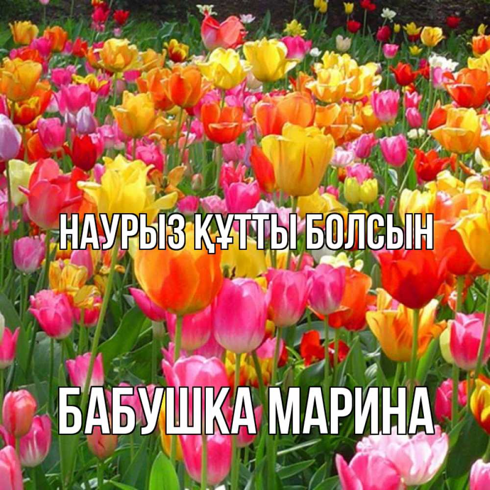 Открытка на каждый день с именем, Бабушка-Марина Наурыз құтты болсын на наурыз  ура ура Прикольная открытка с пожеланием онлайн скачать бесплатно 