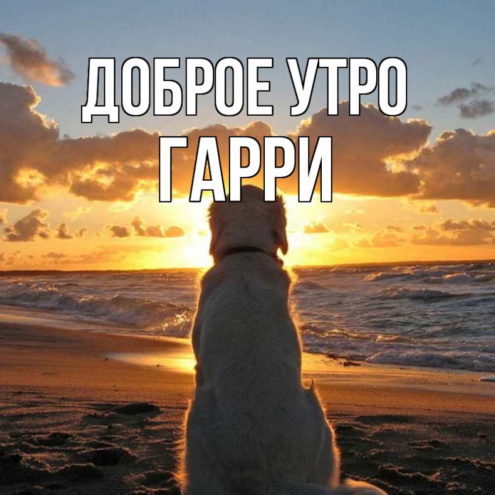 Открытка на каждый день с именем, Гарри Доброе утро восход солнца Прикольная открытка с пожеланием онлайн скачать бесплатно 