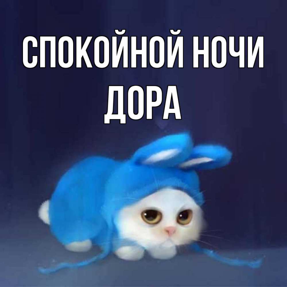 Открытка на каждый день с именем, Дора Спокойной ночи кот в голубом костюме кролика с ушками Прикольная открытка с пожеланием онлайн скачать бесплатно 