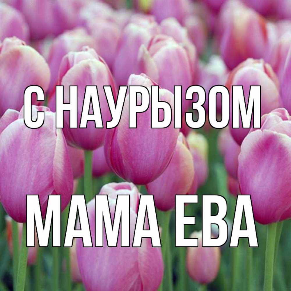 Открытка на каждый день с именем, Мама-Ева С наурызом праздник весны наурыз 69 Прикольная открытка с пожеланием онлайн скачать бесплатно 