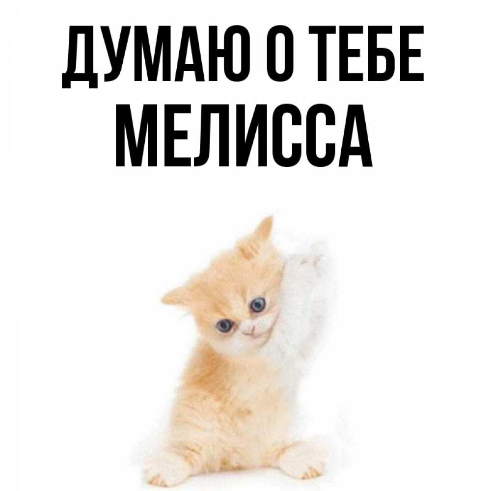 Открытка на каждый день с именем, Мелисса Думаю о тебе зверушки и милота Прикольная открытка с пожеланием онлайн скачать бесплатно 