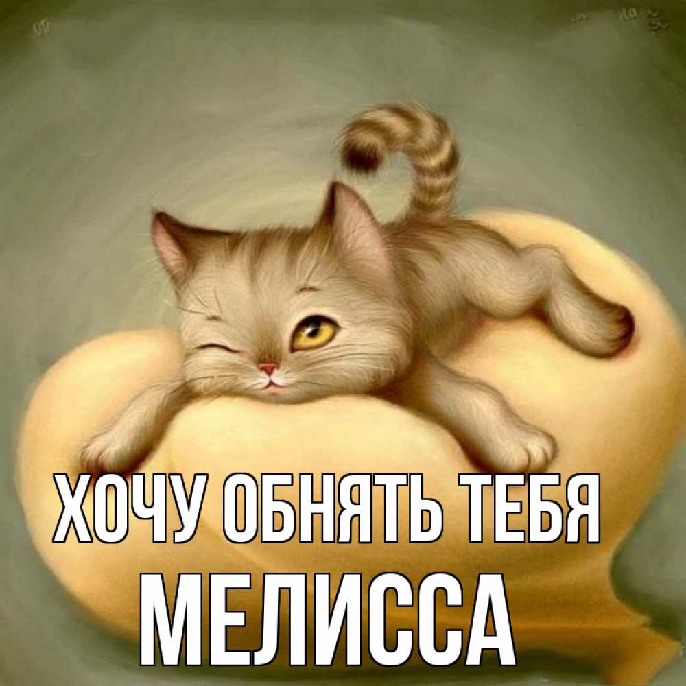 Открытка на каждый день с именем, Мелисса Хочу обнять тебя кошечка Прикольная открытка с пожеланием онлайн скачать бесплатно 