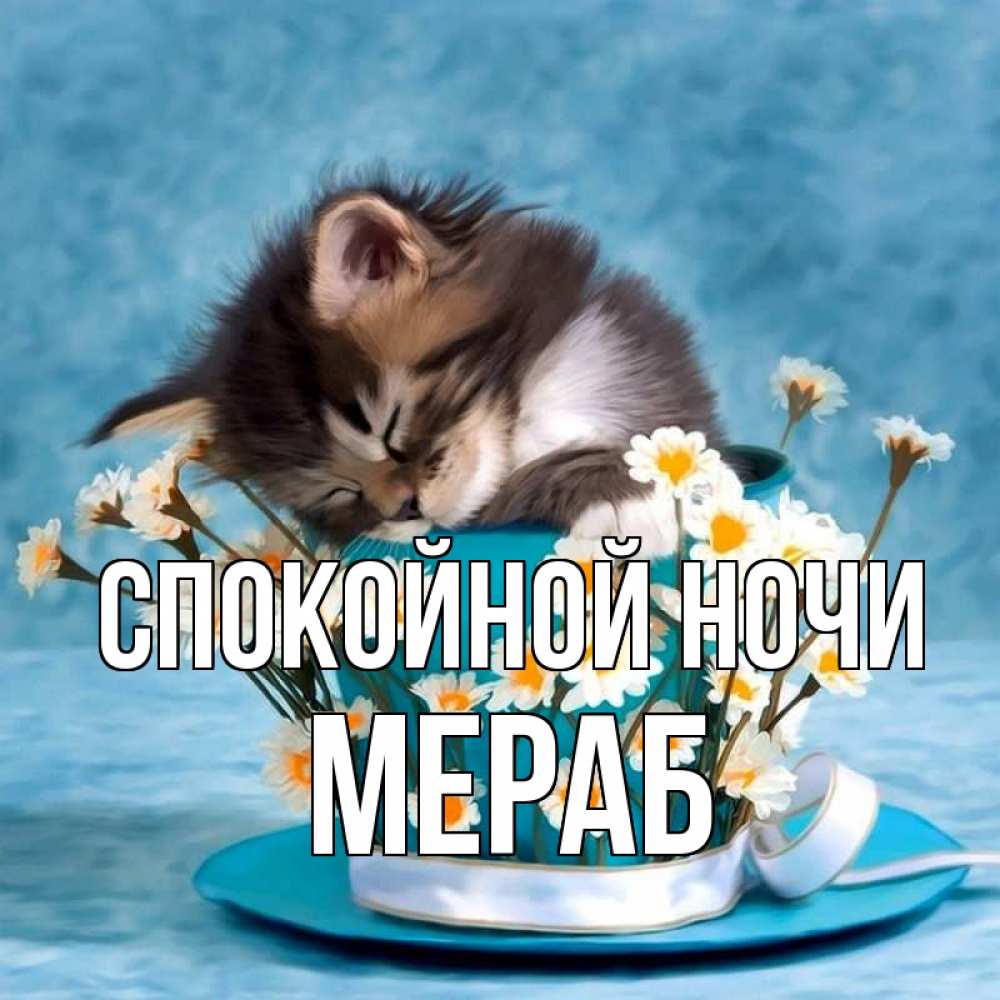 Открытка на каждый день с именем, Мераб Спокойной ночи котенок спит в кружке с блюдцем Прикольная открытка с пожеланием онлайн скачать бесплатно 
