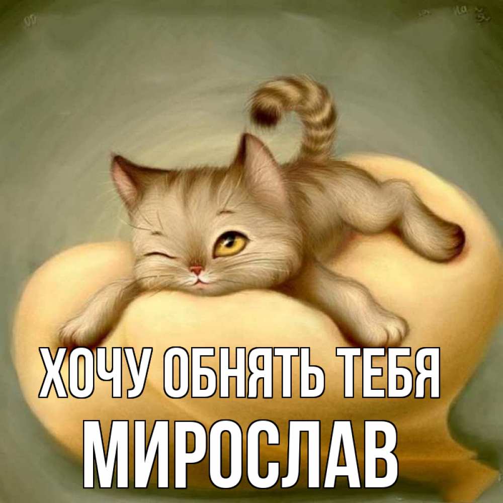 Открытка на каждый день с именем, Мирослав Хочу обнять тебя кошечка Прикольная открытка с пожеланием онлайн скачать бесплатно 