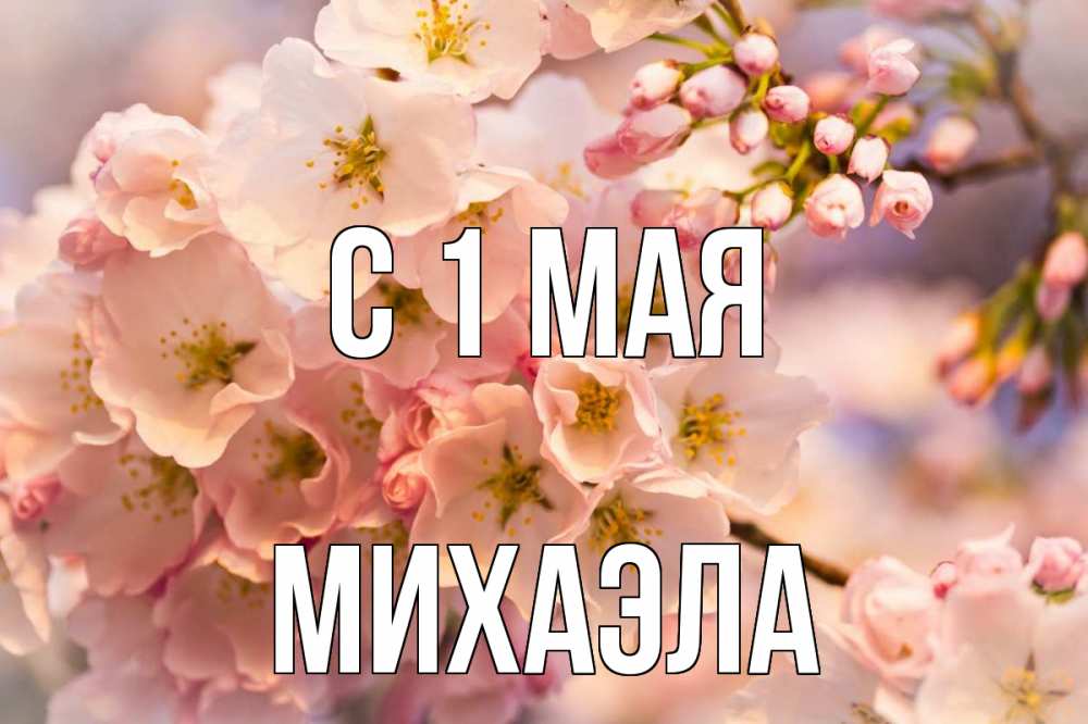 Открытка на каждый день с именем, Михаэла С 1 мая С 1 мая Прикольная открытка с пожеланием онлайн скачать бесплатно 