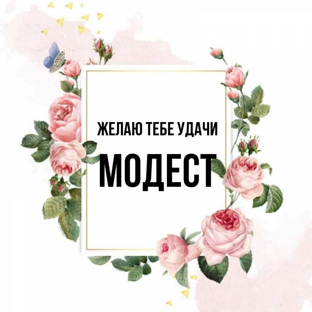 Открытка на каждый день с именем, Модест Желаю тебе удачи розовые розы Прикольная открытка с пожеланием онлайн скачать бесплатно 