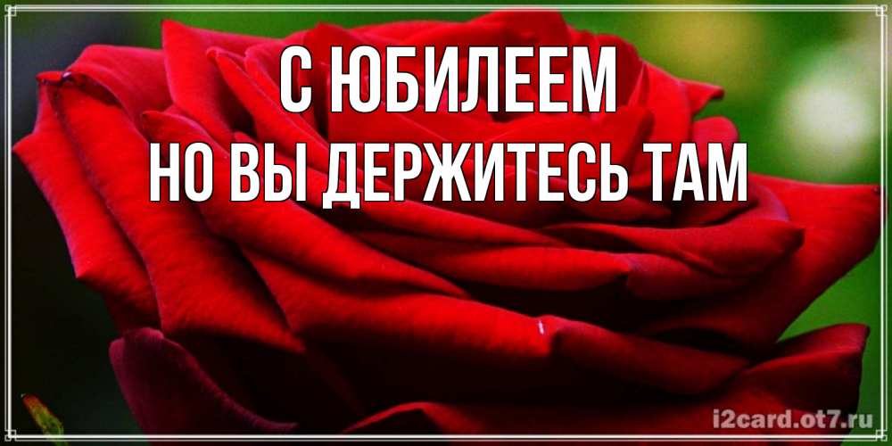 Открытка на каждый день с именем, Но-вы-держитесь-там С юбилеем розочка очень красивая Прикольная открытка с пожеланием онлайн скачать бесплатно 