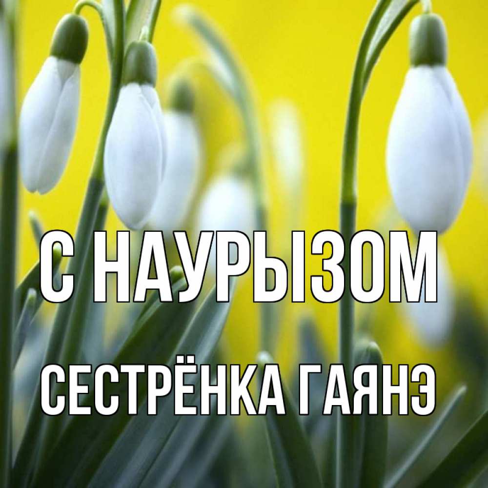Открытка на каждый день с именем, Сестрёнка-Гаянэ С наурызом весенние цветы Прикольная открытка с пожеланием онлайн скачать бесплатно 