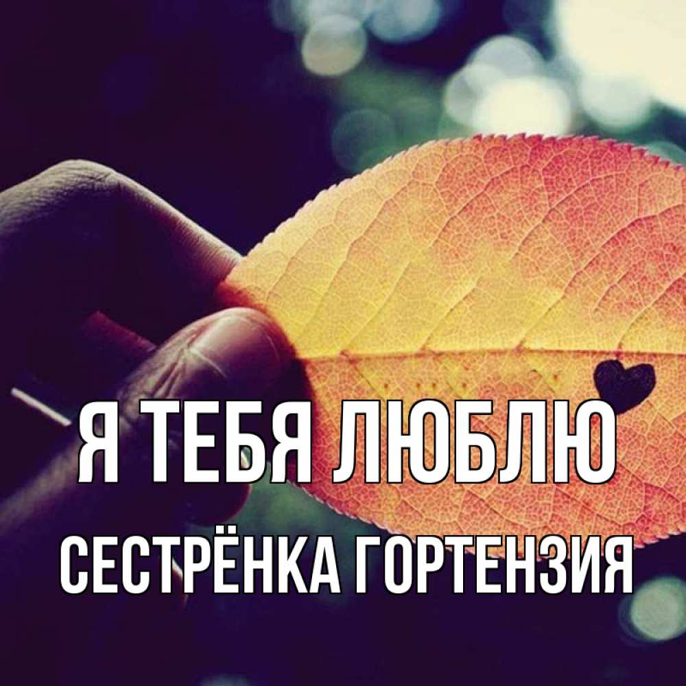 Открытка на каждый день с именем, Сестрёнка-Гортензия Я тебя люблю держу лист Прикольная открытка с пожеланием онлайн скачать бесплатно 