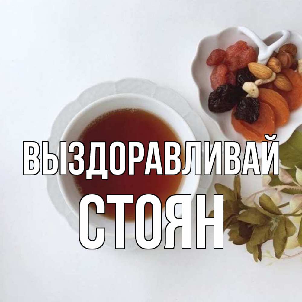 Открытка на каждый день с именем, Стоян Выздоравливай неизвестные растения Прикольная открытка с пожеланием онлайн скачать бесплатно 