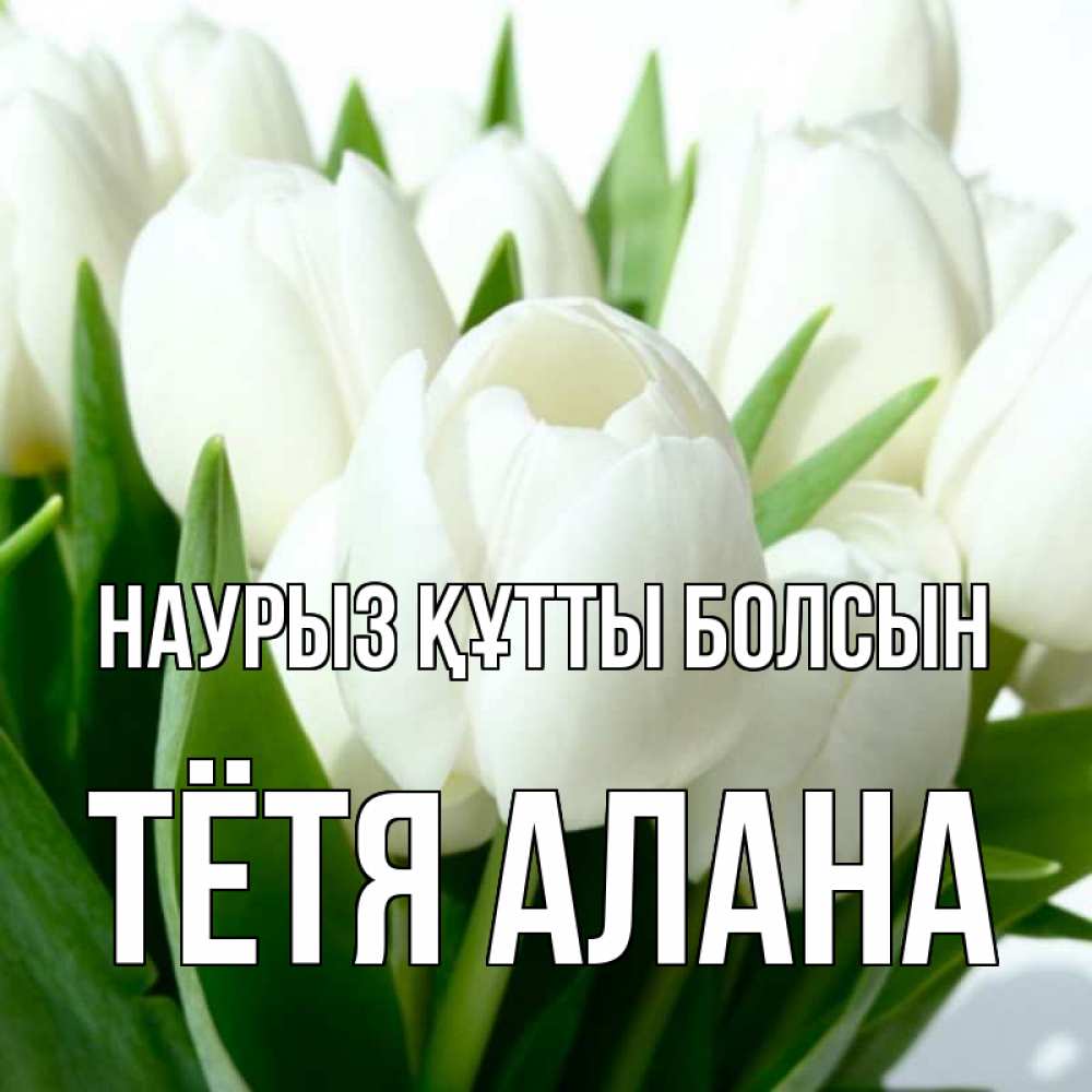 Открытка на каждый день с именем, Тётя-Алана Наурыз құтты болсын цветы Прикольная открытка с пожеланием онлайн скачать бесплатно 