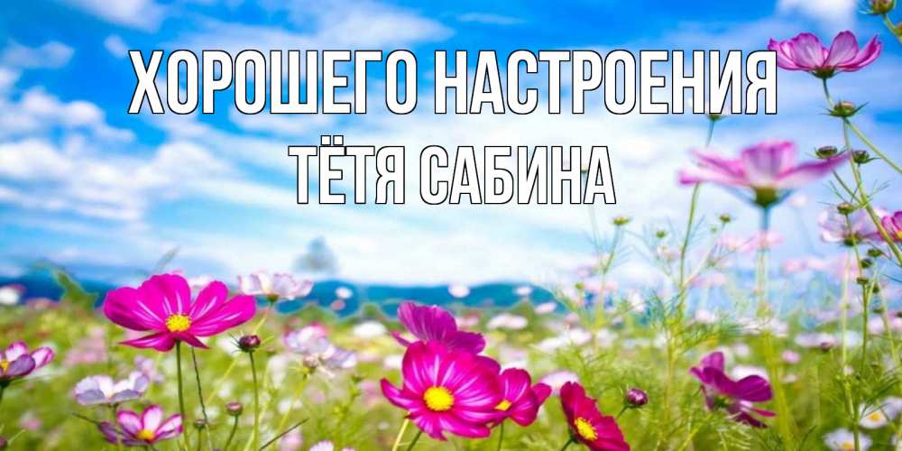 Открытка на каждый день с именем, Тётя-Сабина Хорошего настроения поле цветов Прикольная открытка с пожеланием онлайн скачать бесплатно 