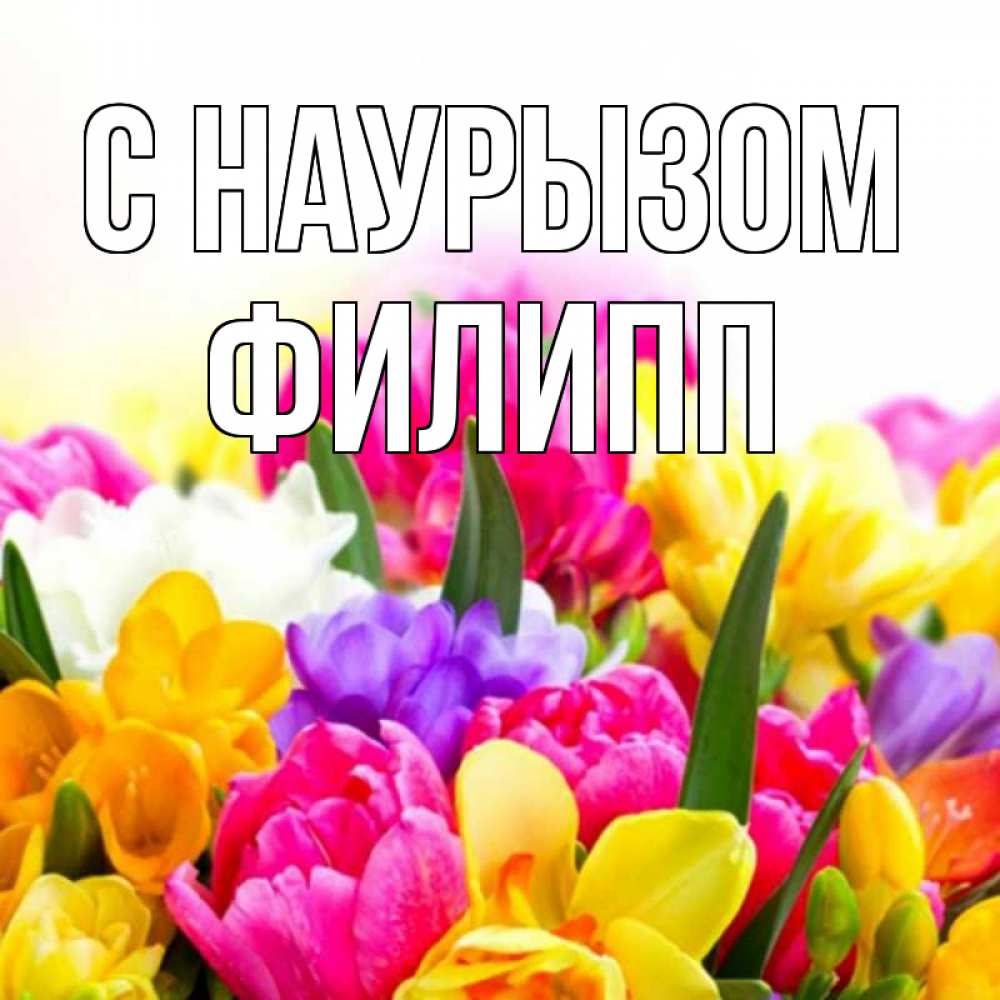 Открытка на каждый день с именем, Филипп С наурызом тюльпаны Прикольная открытка с пожеланием онлайн скачать бесплатно 