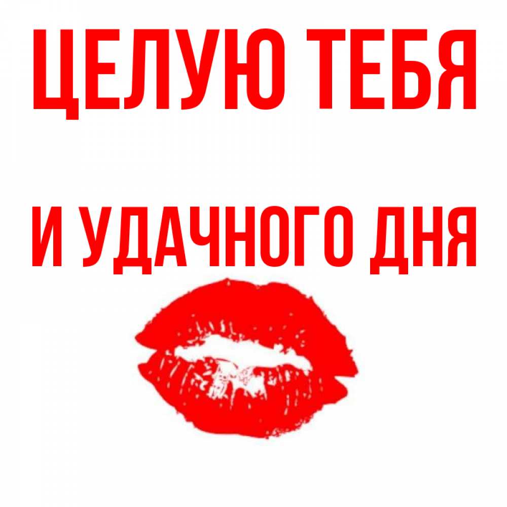Прикольную открытку удачного дня целую тебя