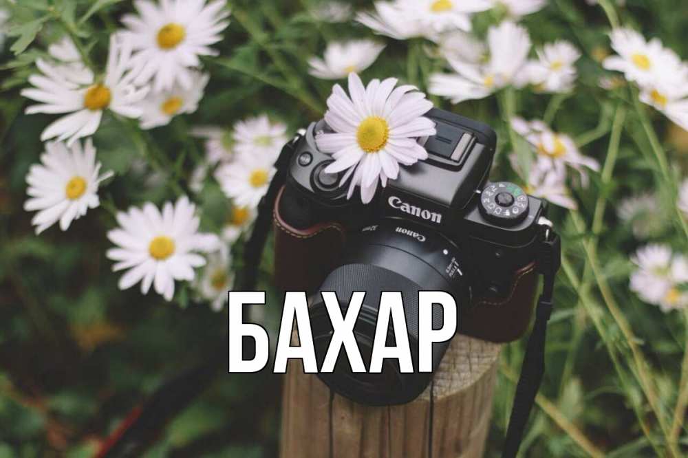 Открытка на каждый день с именем, Бахар Главная с днем фотографа Прикольная открытка с пожеланием онлайн скачать бесплатно 