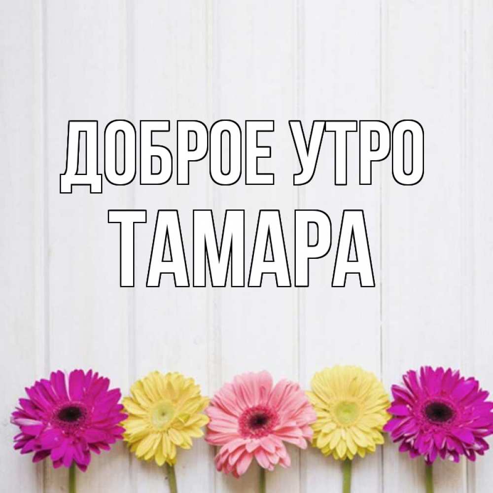 Открытка тамара доброе утро