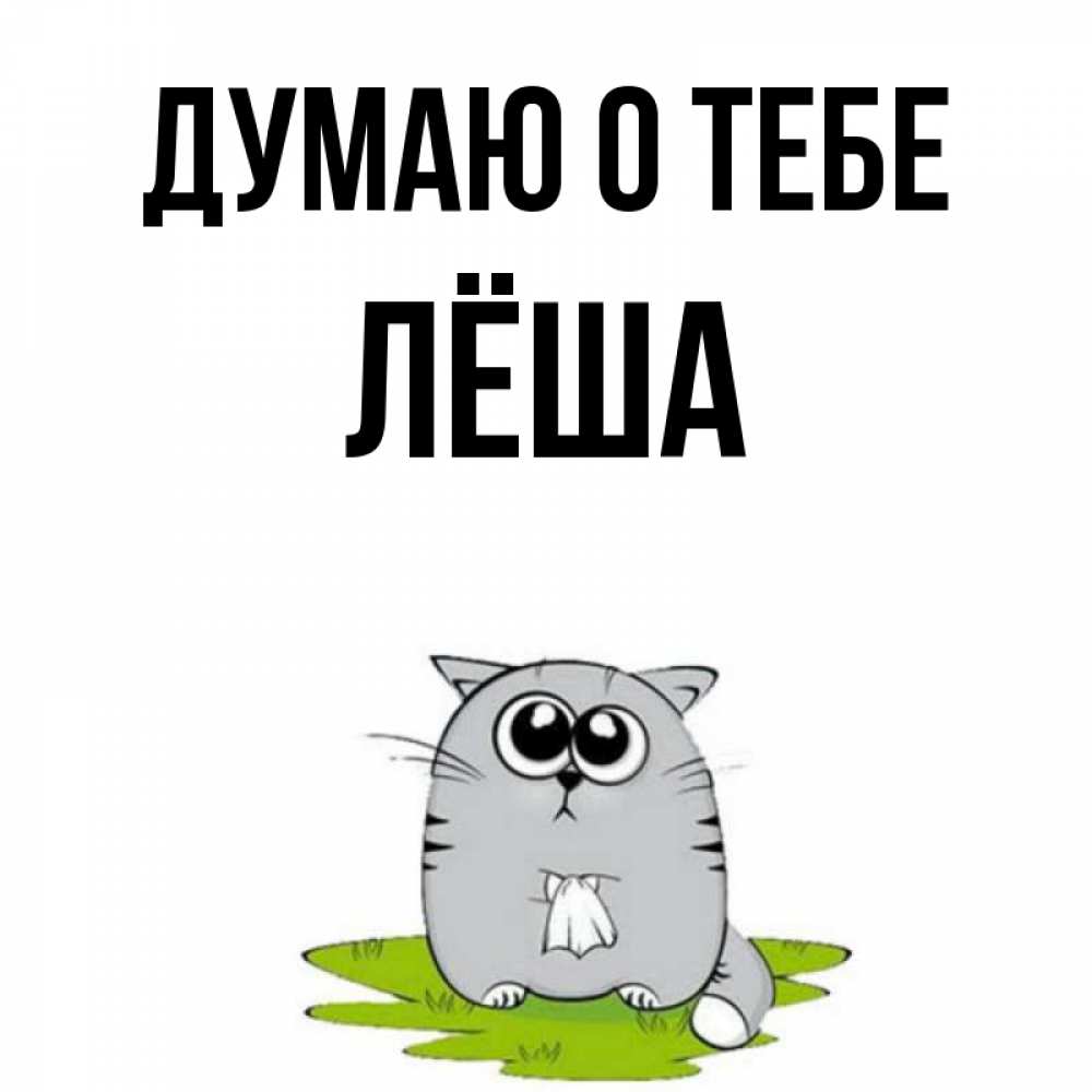 Леша котик по французски
148