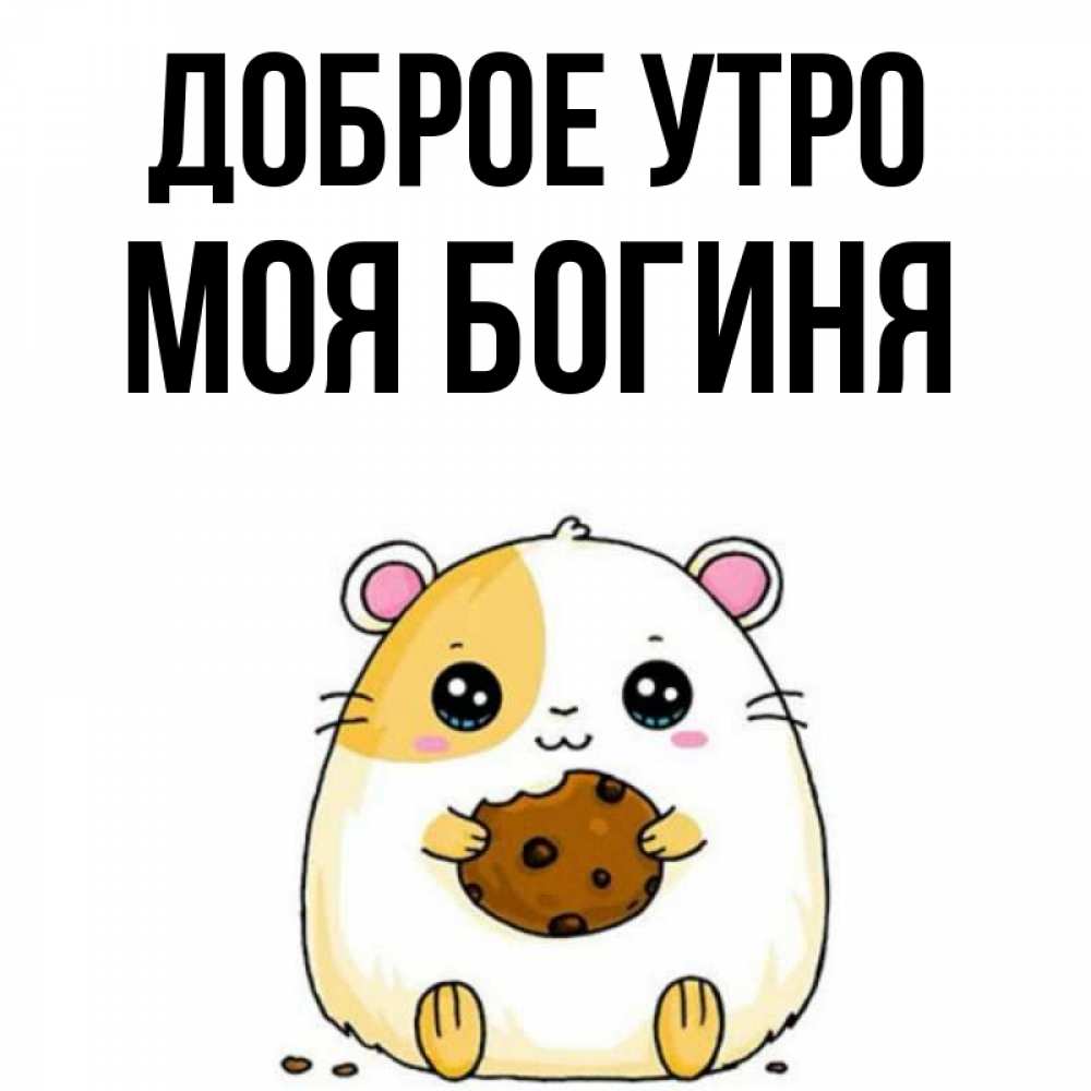 Открытка на каждый день с именем, Моя-богиня Доброе утро есть печеньку. Утречко Прикольная открытка с пожеланием онлайн скачать бесплатно 