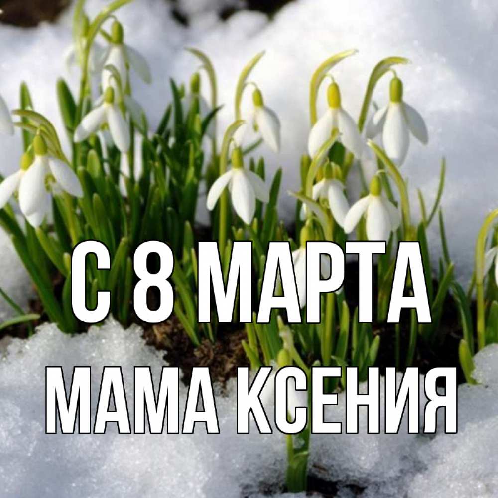 Открытка на каждый день с именем, Мама-Ксения С 8 марта цветы весенние Прикольная открытка с пожеланием онлайн скачать бесплатно 