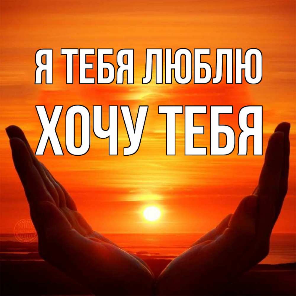 Картинка Я тебя люблю, Хочу тебя
