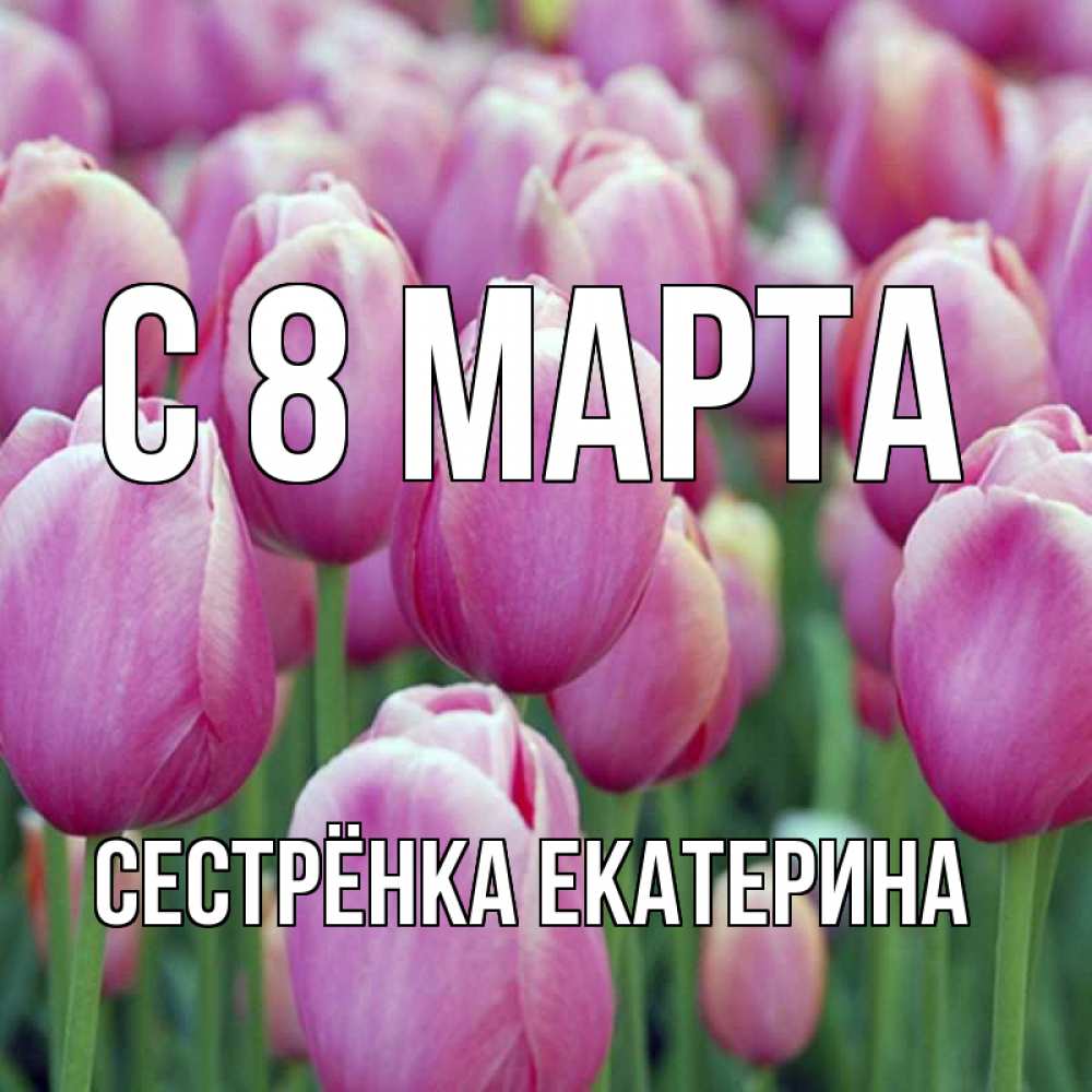 Открытка на каждый день с именем, Сестрёнка-Екатерина С 8 марта на международный женский день 3 Прикольная открытка с пожеланием онлайн скачать бесплатно 