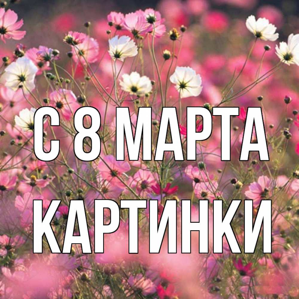 Открытка на каждый день с именем, Картинки С 8 МАРТА красиво 1 Прикольная открытка с пожеланием онлайн скачать бесплатно 