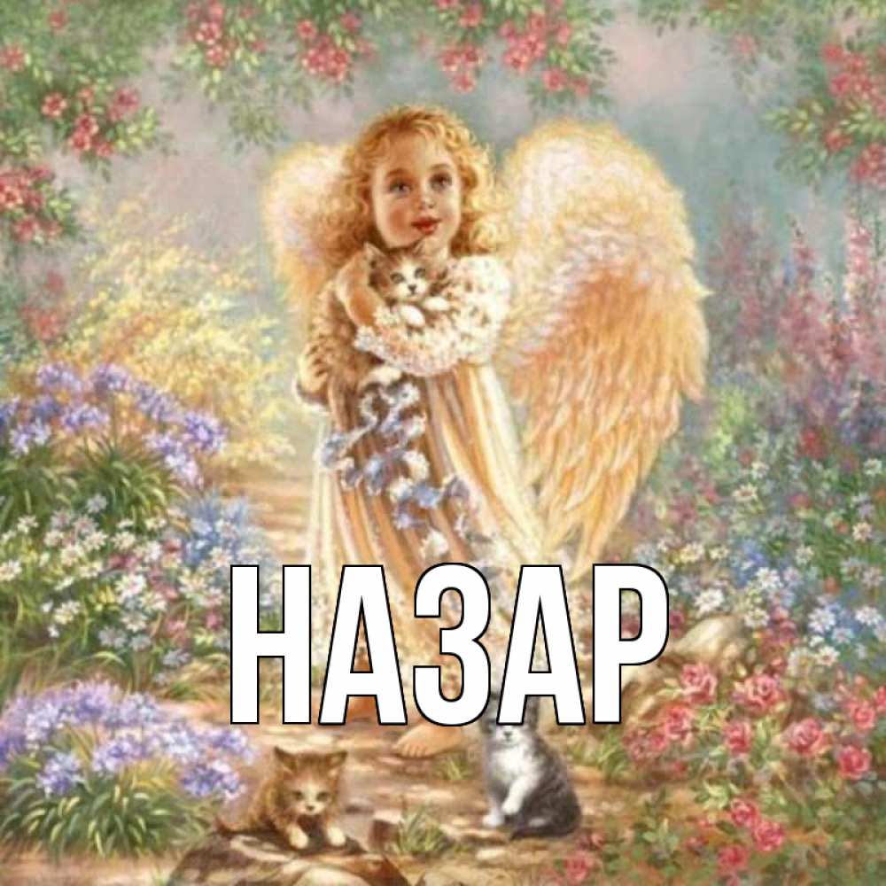 Открытка на каждый день с именем, Назар Главная держит котенка Прикольная открытка с пожеланием онлайн скачать бесплатно 