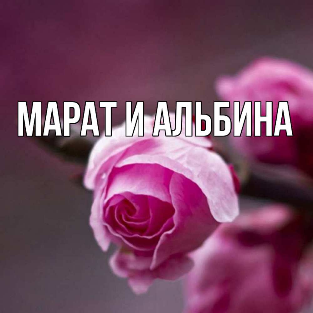 Картинки С Именем Марат