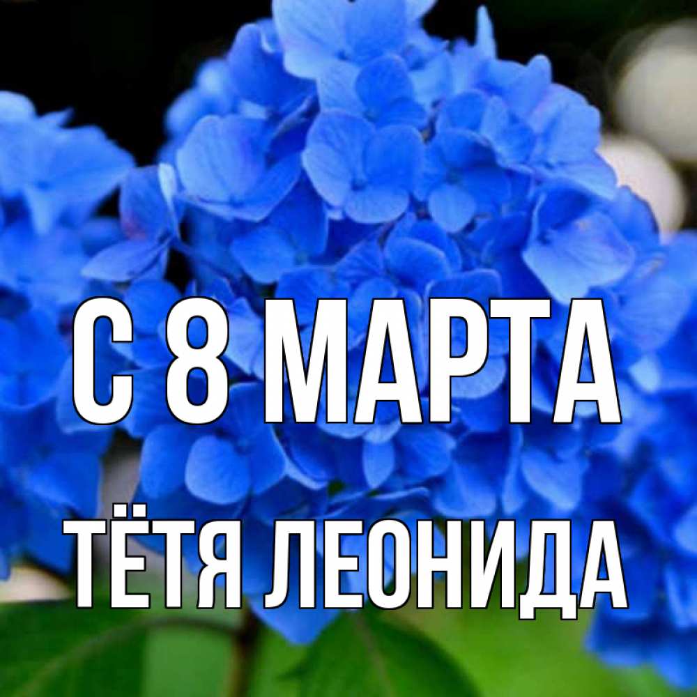 Открытка на каждый день с именем, Тётя-Леонида С 8 марта синие цветы Прикольная открытка с пожеланием онлайн скачать бесплатно 