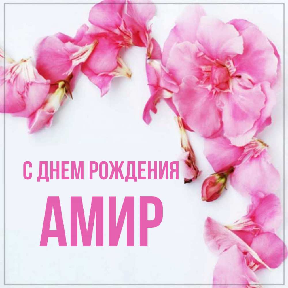 С днем рождения амир