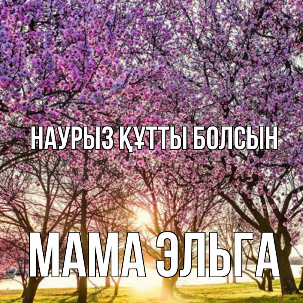 Открытка на каждый день с именем, Мама-Эльга Наурыз құтты болсын наурыз Прикольная открытка с пожеланием онлайн скачать бесплатно 