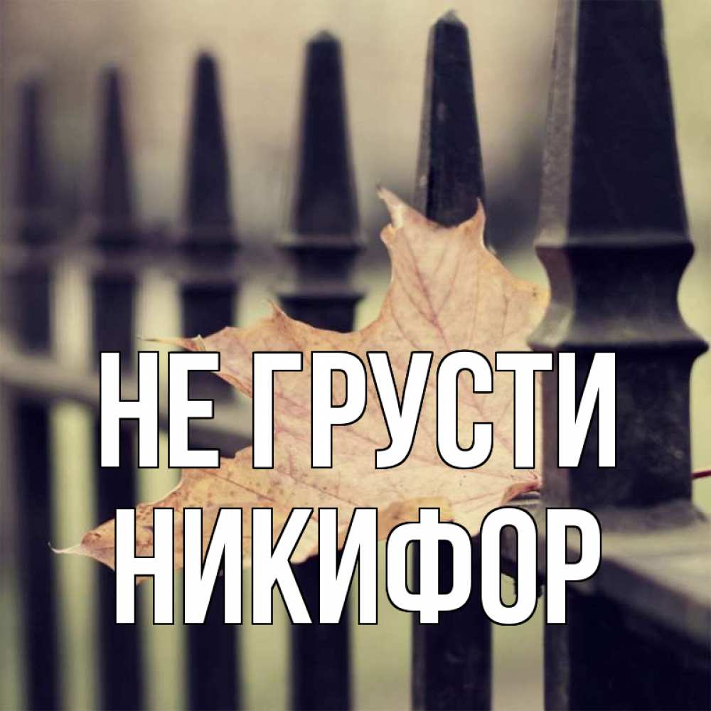 Открытка на каждый день с именем, Никифор Не грусти лист клена Прикольная открытка с пожеланием онлайн скачать бесплатно 
