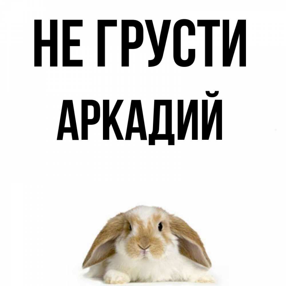 Открытка на каждый день с именем, Аркадий Не грусти коричнево белый заяц с большими ушками Прикольная открытка с пожеланием онлайн скачать бесплатно 