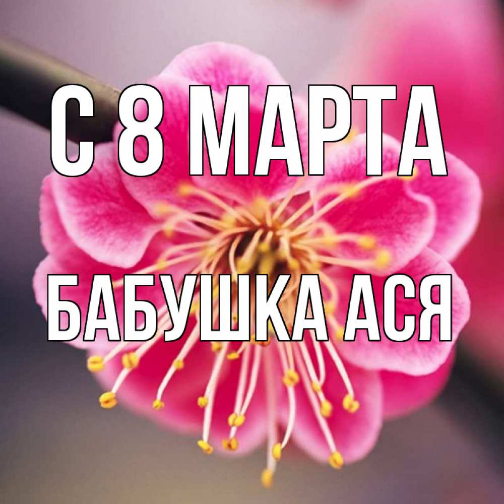Открытка на каждый день с именем, Бабушка-Ася С 8 МАРТА цветы Прикольная открытка с пожеланием онлайн скачать бесплатно 