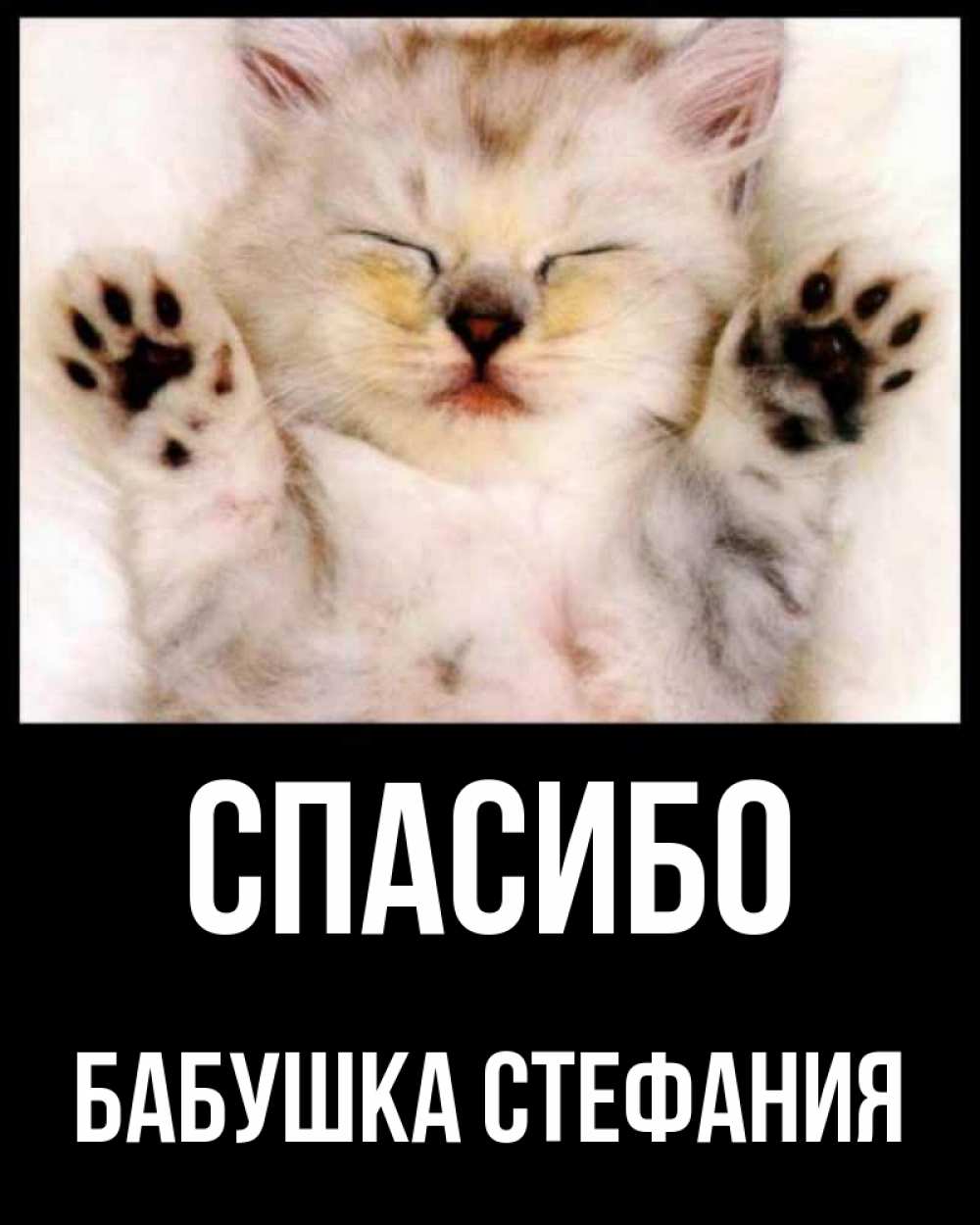 Открытка на каждый день с именем, Бабушка-Стефания Спасибо маленький котенок Прикольная открытка с пожеланием онлайн скачать бесплатно 