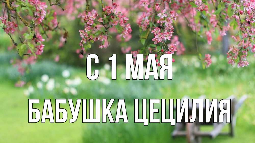 Открытка на каждый день с именем, Бабушка-Цецилия С 1 мая С 1 мая Прикольная открытка с пожеланием онлайн скачать бесплатно 