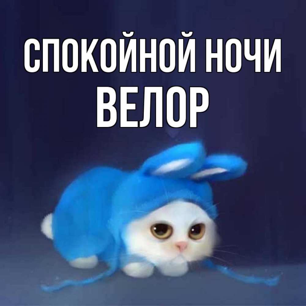 Открытка на каждый день с именем, Велор Спокойной ночи кот в голубом костюме кролика с ушками Прикольная открытка с пожеланием онлайн скачать бесплатно 