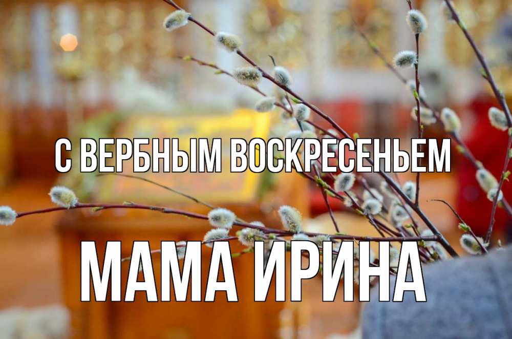 Открытка на каждый день с именем, Мама-Ирина С вербным воскресеньем верба Прикольная открытка с пожеланием онлайн скачать бесплатно 