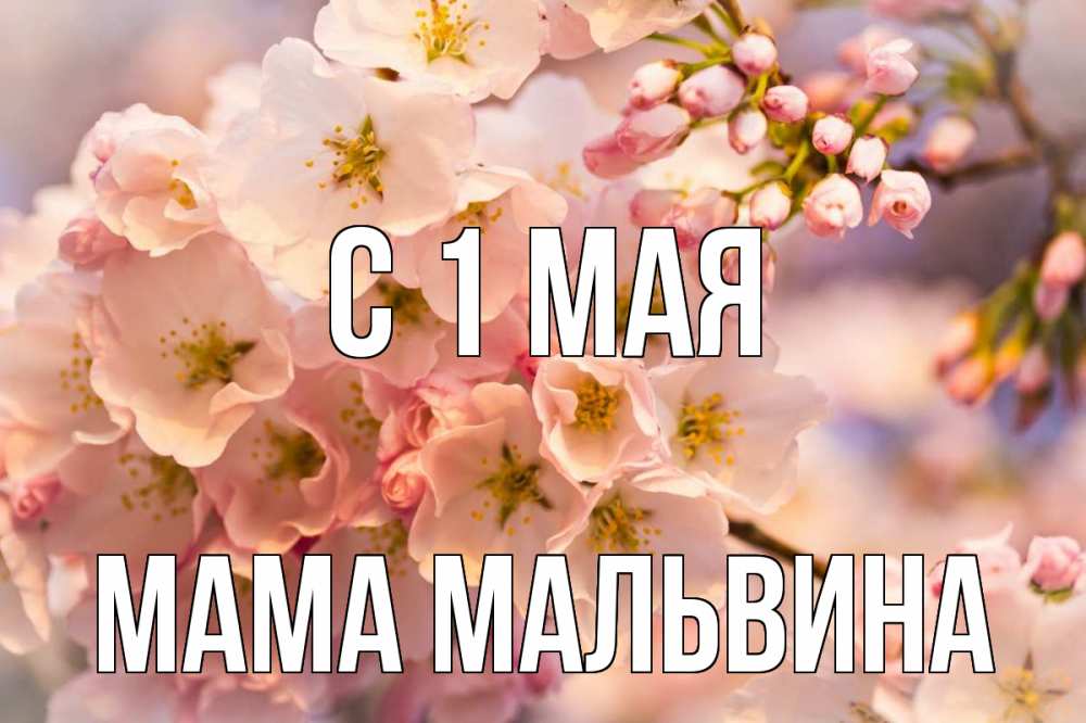 Открытка на каждый день с именем, Мама-Мальвина С 1 мая С 1 мая Прикольная открытка с пожеланием онлайн скачать бесплатно 