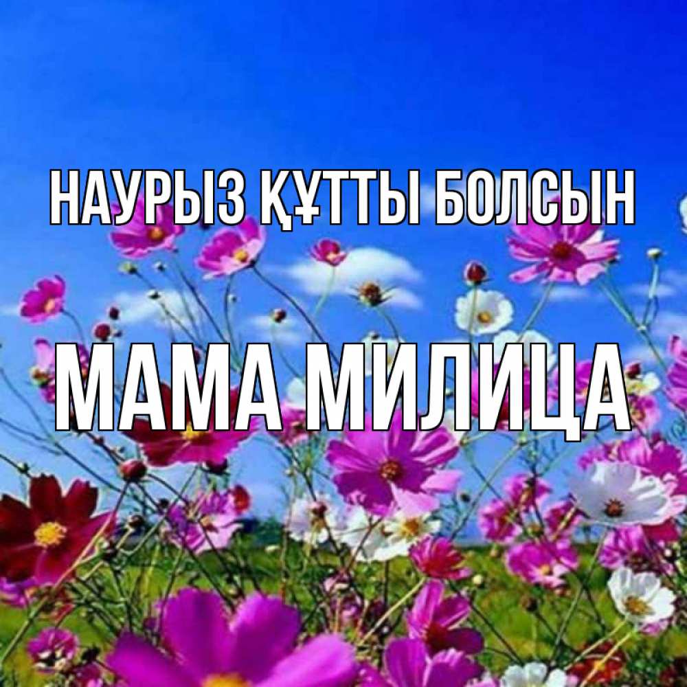 Открытка на каждый день с именем, Мама-Милица Наурыз құтты болсын цветы Прикольная открытка с пожеланием онлайн скачать бесплатно 