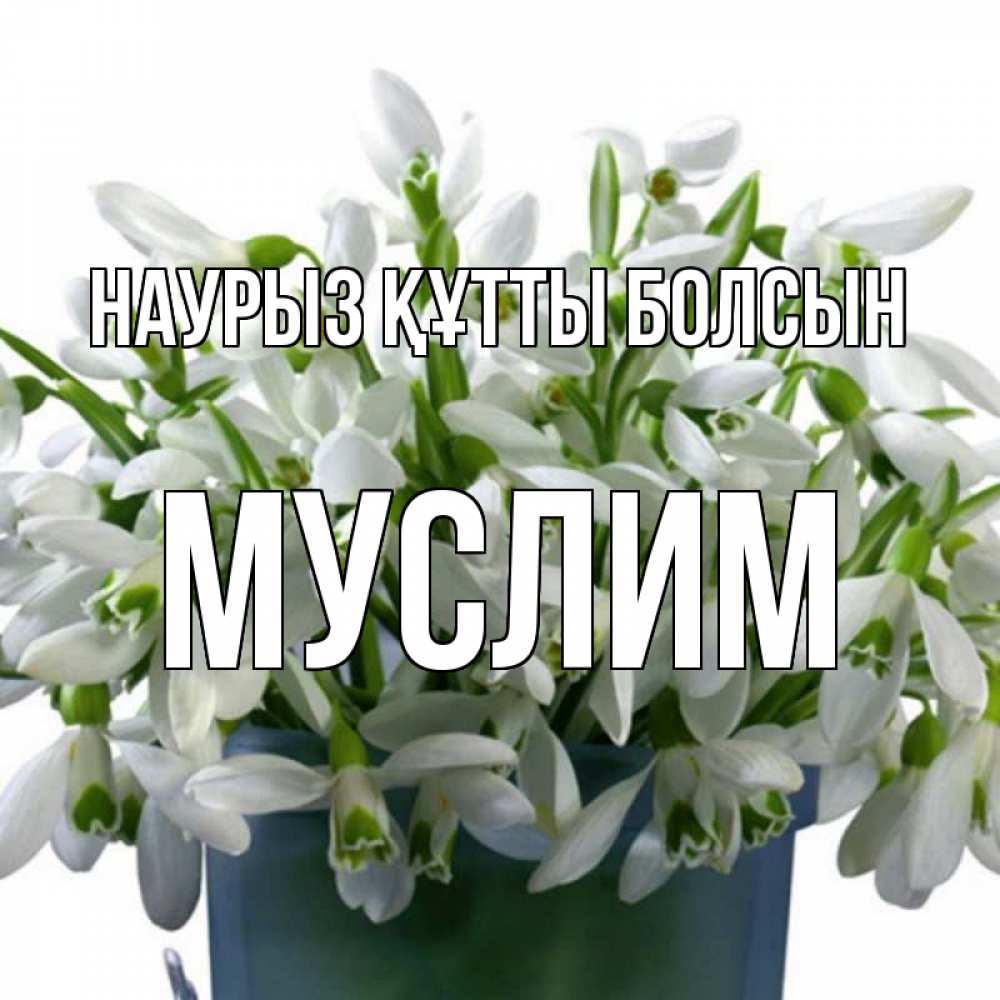 Открытка на каждый день с именем, Муслим Наурыз құтты болсын цветы к наурызу Прикольная открытка с пожеланием онлайн скачать бесплатно 