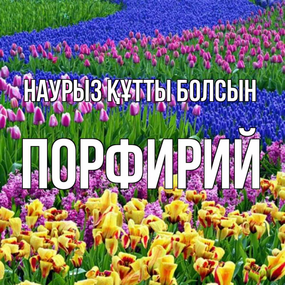 Открытка на каждый день с именем, Порфирий Наурыз құтты болсын цветы Прикольная открытка с пожеланием онлайн скачать бесплатно 