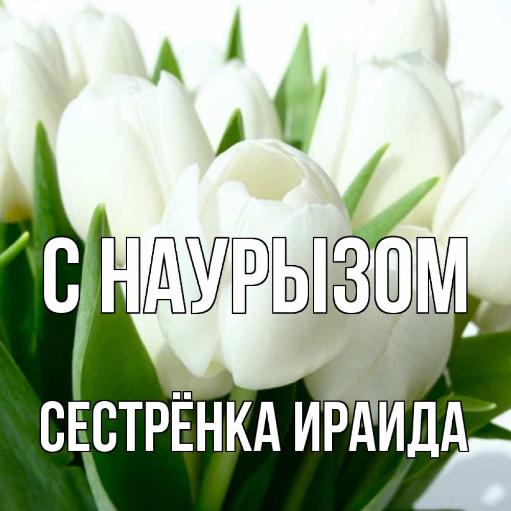 Открытка на каждый день с именем, Сестрёнка-Ираида С наурызом цветы Прикольная открытка с пожеланием онлайн скачать бесплатно 